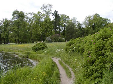 View of the Park from the Gallery