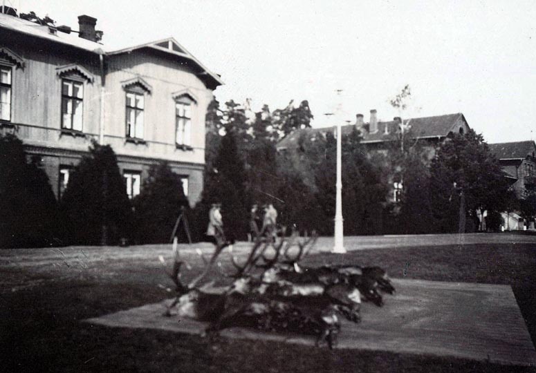 Imperial Romanov Hunting Lodge in Poland - Stags